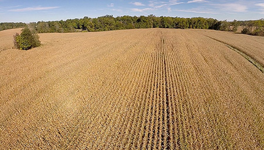 REAL ESTATE AUCTION - 86 ACRES IN 3 TRACTS IN WHITLEY COUNTY
